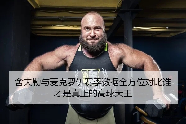 舍夫勒与麦克罗伊赛季数据全方位对比谁才是真正的高球天王